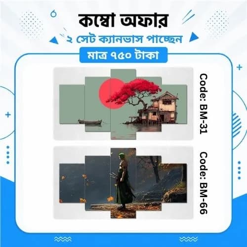 ক্যানভাস কম্বো BM-31,66 - Image 1
