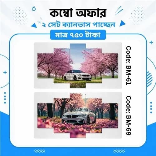ক্যানভাস কম্বো BM-61,69 - Image 1
