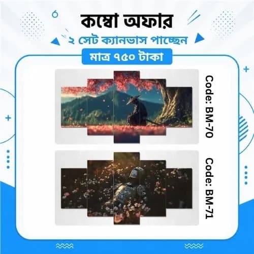 ক্যানভাস কম্বো BM-70,71 - Image 1